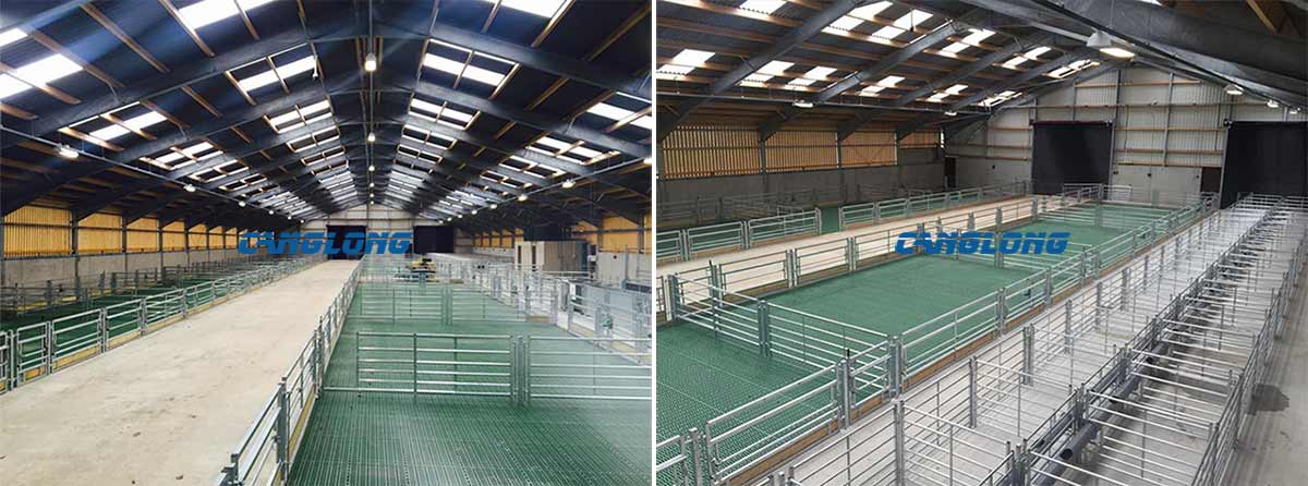 Steel Structure Sheep Shed