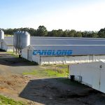 poultry farming shed