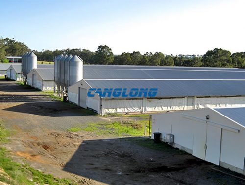 poultry farming shed