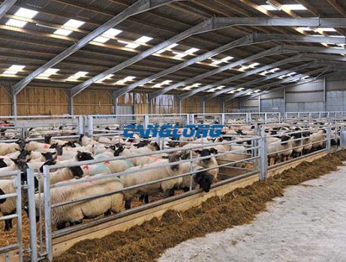 steel structure sheep shed