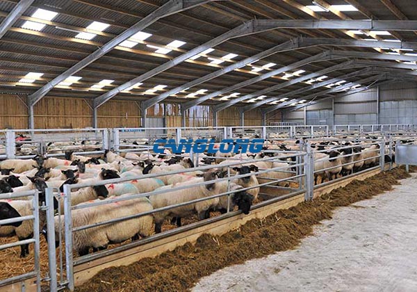 steel structure sheep shed