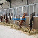 Steel Horse Stables