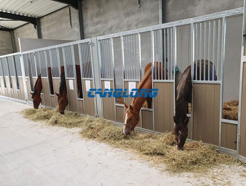 Steel Horse Stables