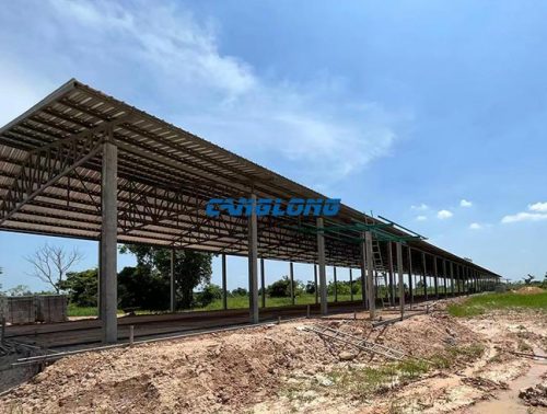 steel structure chicken shed