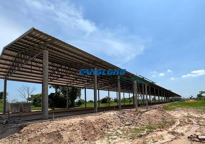 steel structure chicken shed