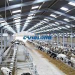 steel structure cowshed