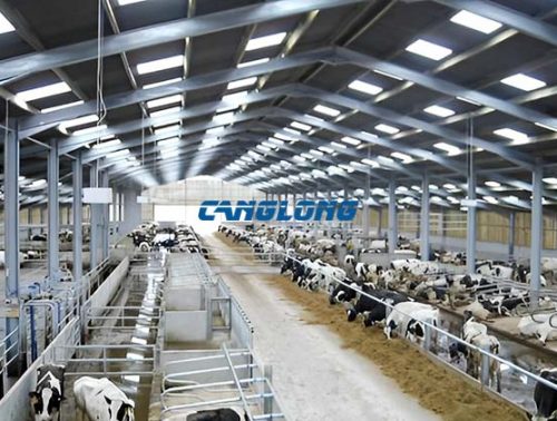 steel structure cowshed