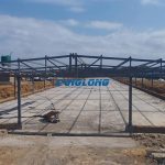 steel structure poultry house