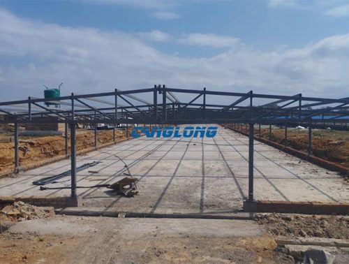 steel structure poultry house