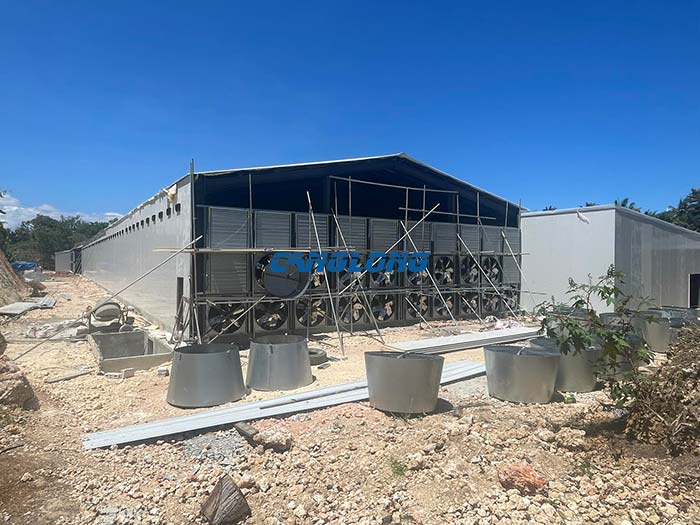 steel structure chicken shed