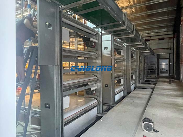 steel structure chicken shed