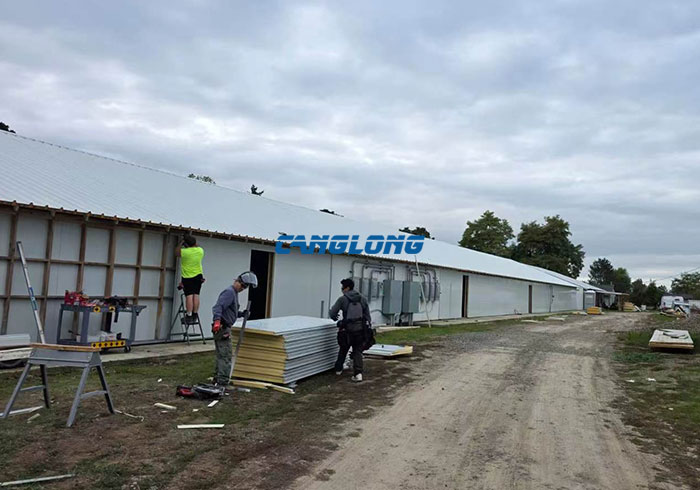 American Chicken Shed